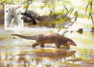 Macao 1995 Maxicard Sc #768 1.50p Chinese pangolin WWF