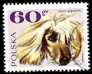 # 1753 USED FISCHER CATALOUGE