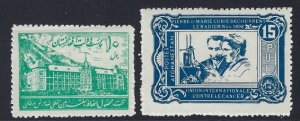 Afghanistan Sc #RA1-RA2: International Anti-cancer Fund, 1938 MLH. CV $6.50