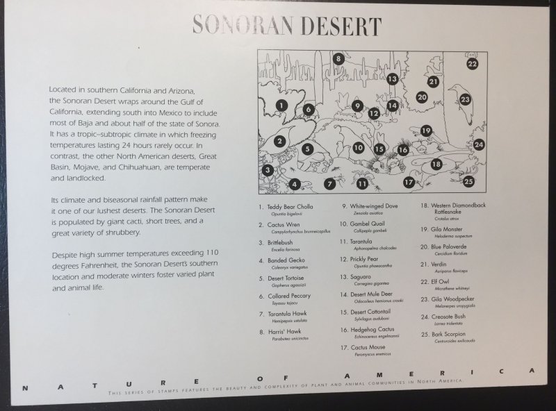 US #3293, 33c Sonoran Desert, Nature of America, 1st in a series, MNH Full Sheet