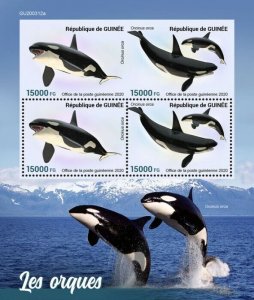 Guinea Marine Animals Stamps 2020 MNH Orcas Killer Whales Fauna 4v M/S + IMPF