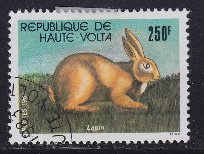 Burkina Faso 591 Rabbit 1981