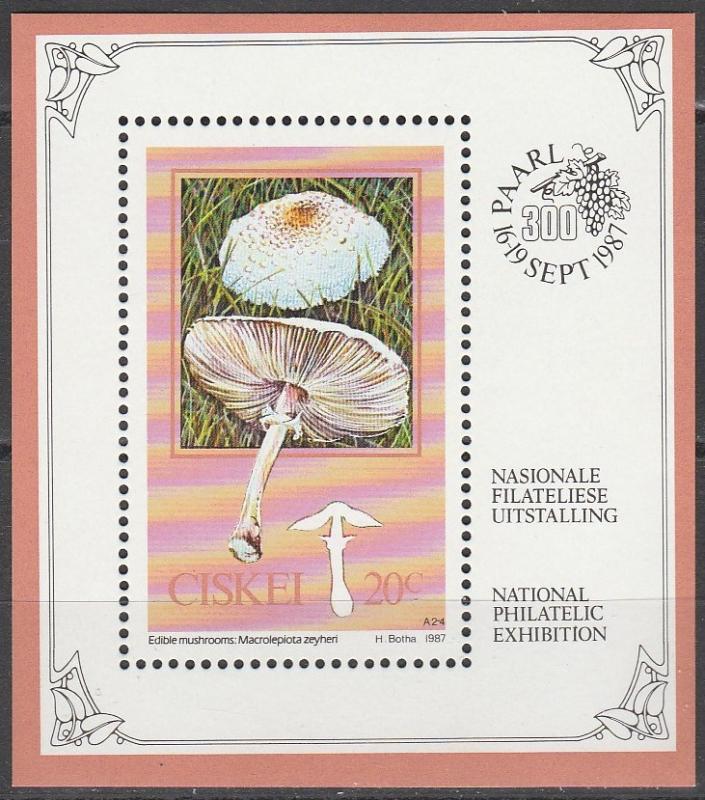 Ciskei #103a   MNH CV $3.75  (A4578)