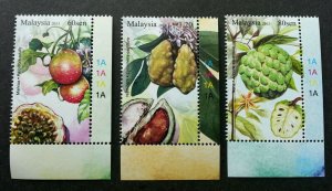 *FREE SHIP Rare Fruits IV Malaysia 2013 Nam Nam Plant Food (stamp plate) MNH