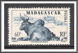 Madagascar #273 Zebus MH