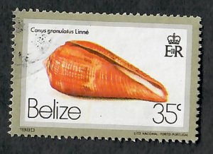 Belize #480 Sea Shells used single