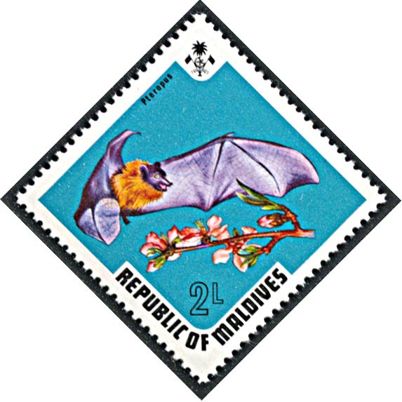 Maldive Islands 448, MNH, Fruit Bat