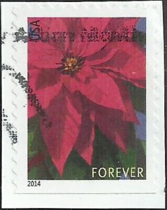 # 4816b USED POINSETTIA