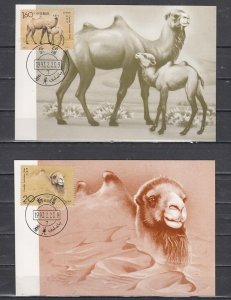 China, Rep. Scott cat. 2433-2434. Camels issue. 2 Max. Cards. ^