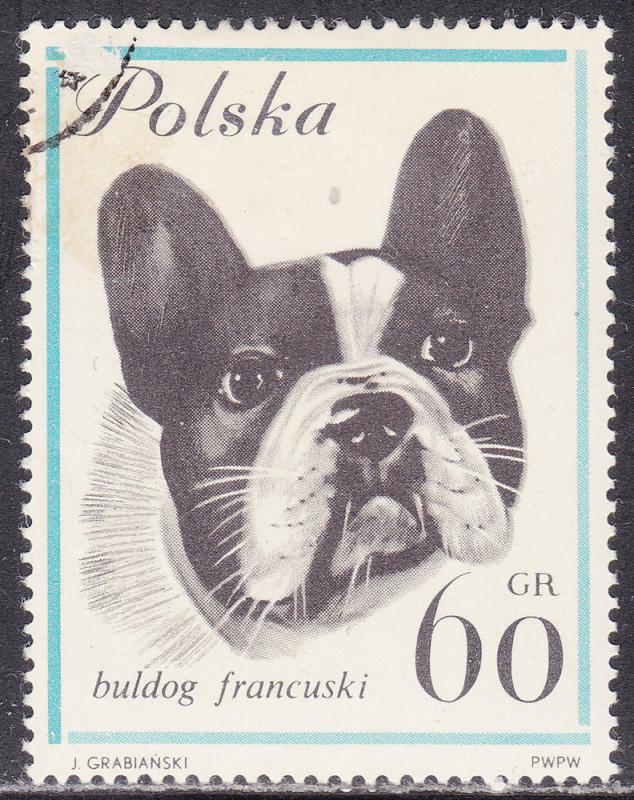 Poland 1119 Dogs, French Bulldog 60Gr 1963