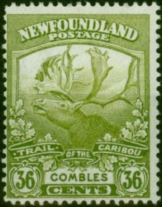 Newfoundland 1919 36c Sage-Green SG141 Fine LMM