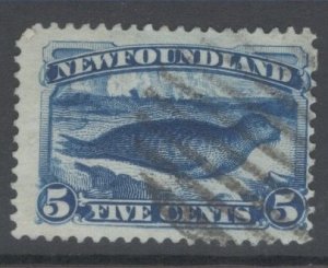 Newfoundland Scott 54 used