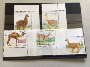 Afghanistan Lama animal cancelled stamps 65161