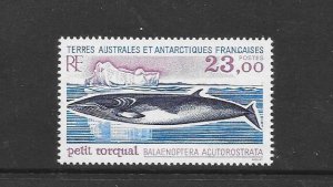 WHALES - FRENCH SOUTHERN ANTARCTIC TERRITORIES #208  NH