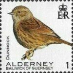 Alderney 1p Bird definitive issued 21 January 2020. Cat no. 658 (Stampworld.com)