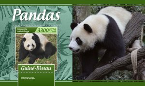 Guinea-Bissau 2019 MNH Wild Animals Stamps Pandas Bears Giant Panda 1v S/S