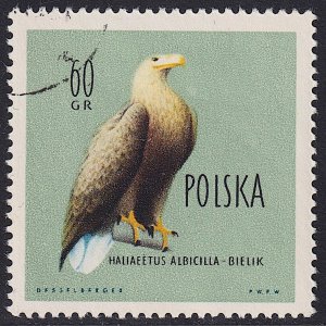 Poland - 1960 - Scott #940 - used - Bird White-tiled Sea Eagle