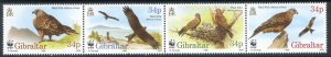 1996 Gibraltar Endangered Species Set SG784/787 Unmounted Mint