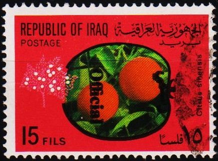 Iraq. 1971 15f (Official) S.G.O989 Fine Used