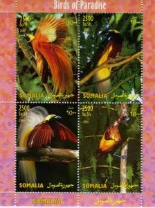 Somalia 2004 BIRDS OF PARADISE Sheet Perforated Mint (NH)