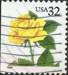 # 3049 USED YELLOW ROSE