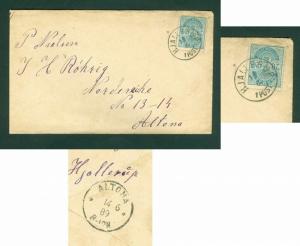 Denmark. Cover. 1889. Postal used. 20 Ores Coats Of Arms. Address: Altona.