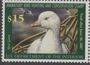 US Stamp #RW73 MNH - FANTASTIC ROSS' GOOSE ON A POND NEST Single