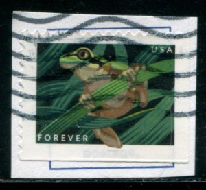 5398 US (55c) Frogs - Squirrel Tree Frog SA, used on paper