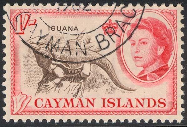 CAYMAN 162  used