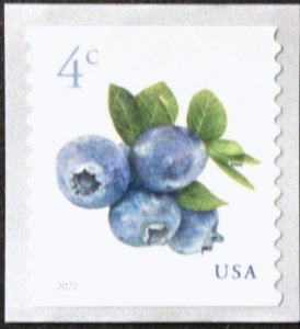 U.S.#5653 Blueberries 4c Coil Single, Mint NH.