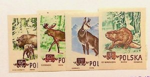 Poland Sc 660-3 MNH Set of 1954 - Wild Animals