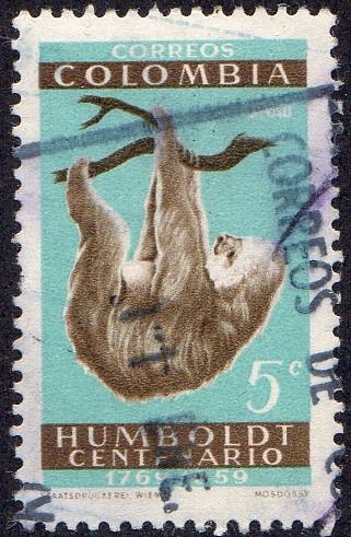 Colombia 713 - Used - 5c Two-toed Sloth (1960)