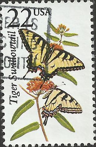 # 2300 USED TIGER SWALLOW