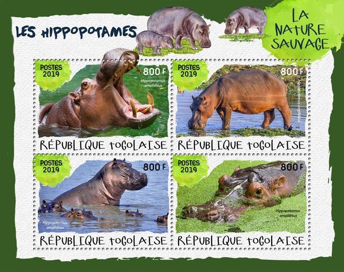 TOGO - 2019 - Hippos #1 - Perf 4v Sheet - Mint Never Hinged