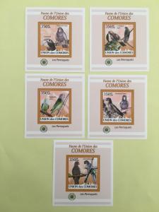 Comoro Islands 2009 Animal Birds Parrots Nature Fauna Coracopsis Nigra S/S Stamp
