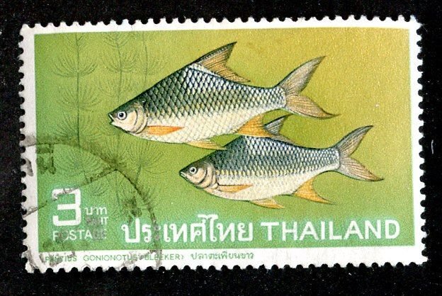 1967 Thailand  Sc# 466 used cv. $7 ( 1775 WX )