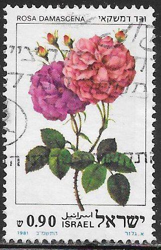 Israel 791 Used - Roses - Damask Rose (‭Rosa damascena)