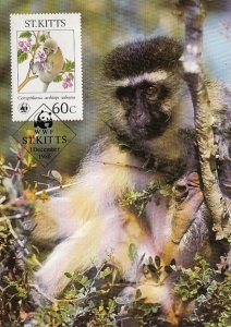 St. Kitts 1986 Maxicard Sc #191 60c Green monkey WWF