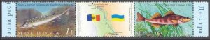 2007 Moldova 595-596Tab Sea fauna 3,50 €