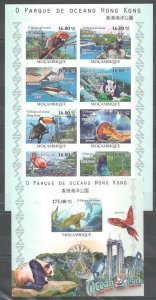 B0099 Imperf 2010 Mozambique Fauna Wild Animals Hong Kong Ocean Park Bl+Kb Mnh