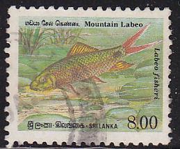 Sri Lanka 979 Mountain Labeo 1990