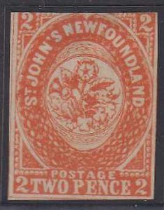 CANADA NEWFOUNDLAND 1860 Sc 11 ORANGE. ONEGLIA FORGERY UNUSED