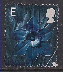 Wales GB 1999 - 02 QE2 Euro Post Daffodil Used SG W 85 ( K210 )