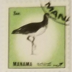 Manama Birds Green 3Dh