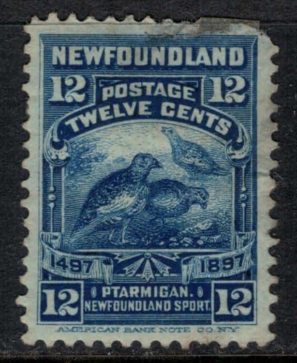 Newfoundland #69  CV $15.00  minor defects