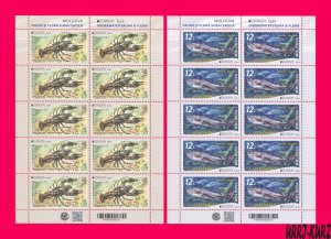 MOLDOVA 2024 Europa CEPT Water Fauna River Fish Sturgeon Crayfish Crustacean m-s