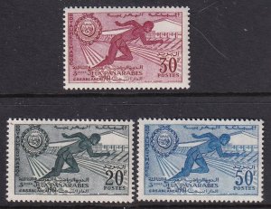 Morocco 53-55 MNH VF