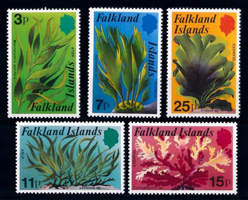 [65191] Falkland Islands 1979 Flora Plants Seawee  MNH