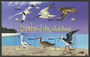 Maldives Sc# 3007 MNH Birds of the Maldives (M/S)