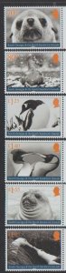 2025 South Georgia Wildlife (6)  (Scott NA) MNH